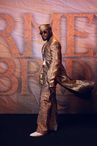 A Night of Glamour and Cinema: Farmer's Bride premieres in style