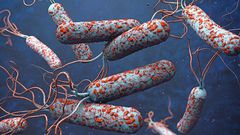 3D illustration of cholera pathogens in dark polluted water