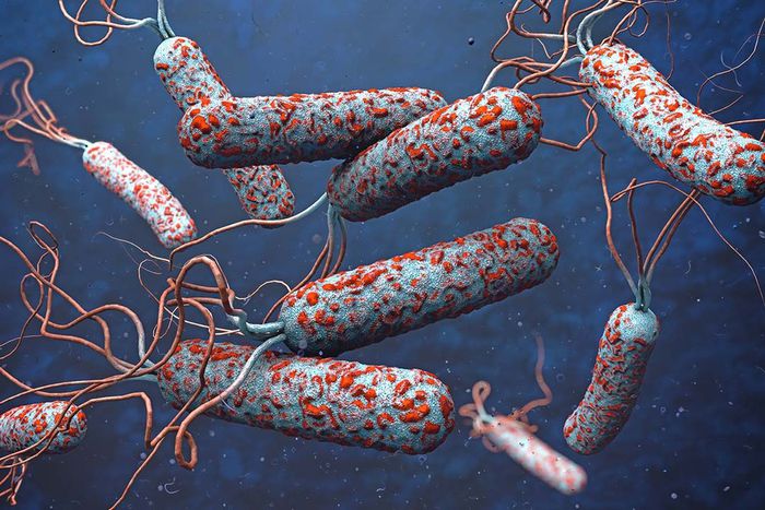 3D illustration of cholera pathogens in dark polluted water