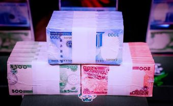 FG blames technical glitches for failure to pay workers’ June salaries