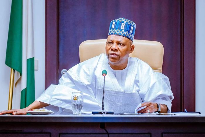 Vice President Kashim Shettima