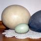 Unusual animal eggs that are edible [Flickr]