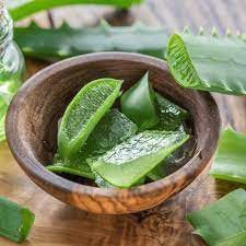 Aloe vera has healing properties [CertifiedOrganicAlogenic]