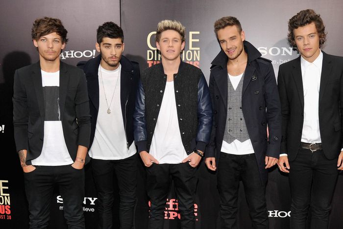 Louis Tomlinson, Zayn Malik, Niall Horan, Liam Payne, and Harry Styles made up One Direction.Kevin Mazur/WireImage/Getty Images