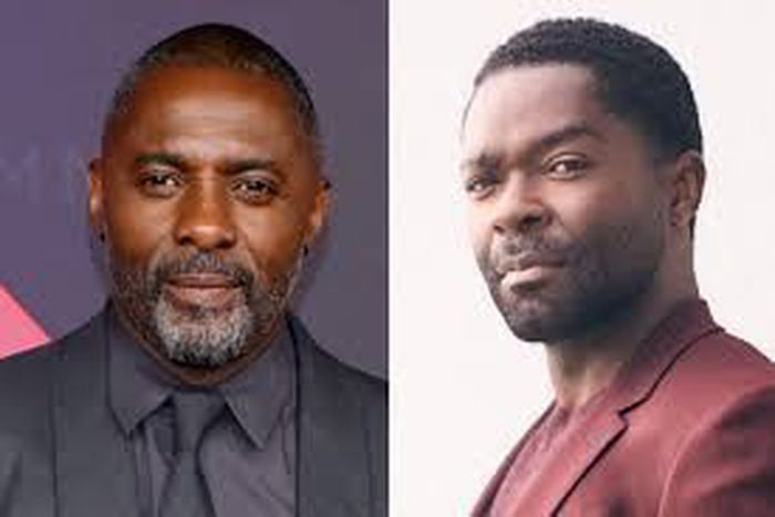 Elba in collaboration with David Oyelowo is set to produce Things Fall Apart [Getty images]