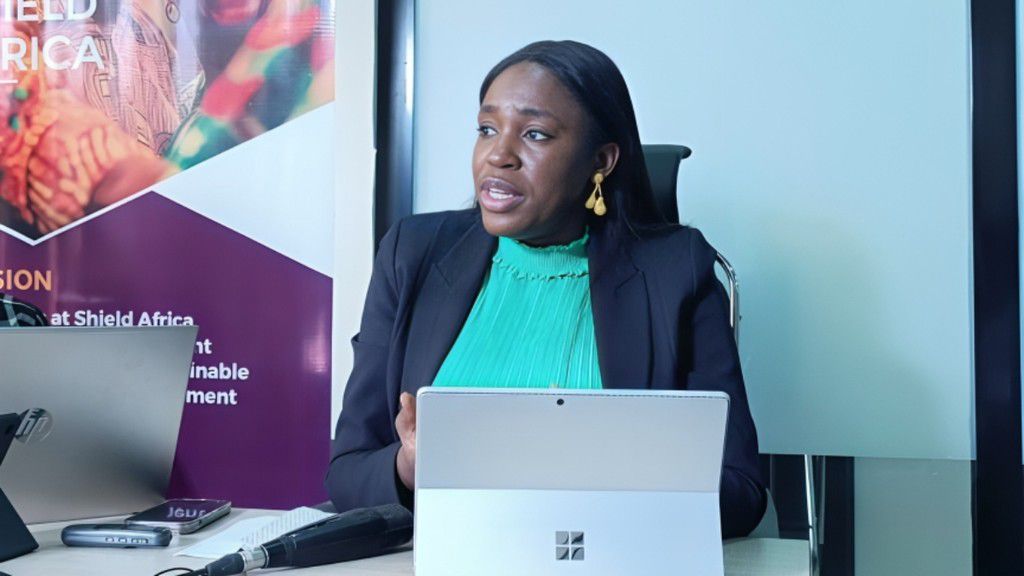 Ms Osenaga Orokpo, CEO of the Shield Africa Sustainability and Development Initiative.  [Original]