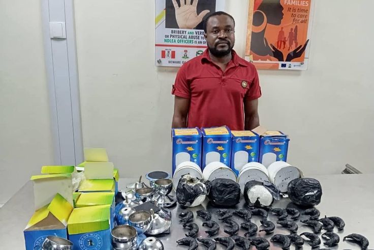 NDLEA arrests 2 wanted kingpins for drug trafficking, 1 owns 20 bank accounts [Facebook:NDLEA]