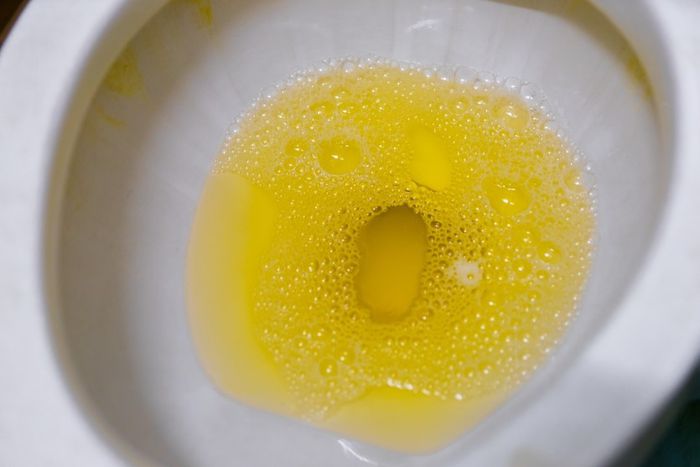 Why your urine is yellow [Adobestock]