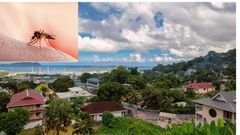 African countries without malaria [fishermancove/shuttershock]