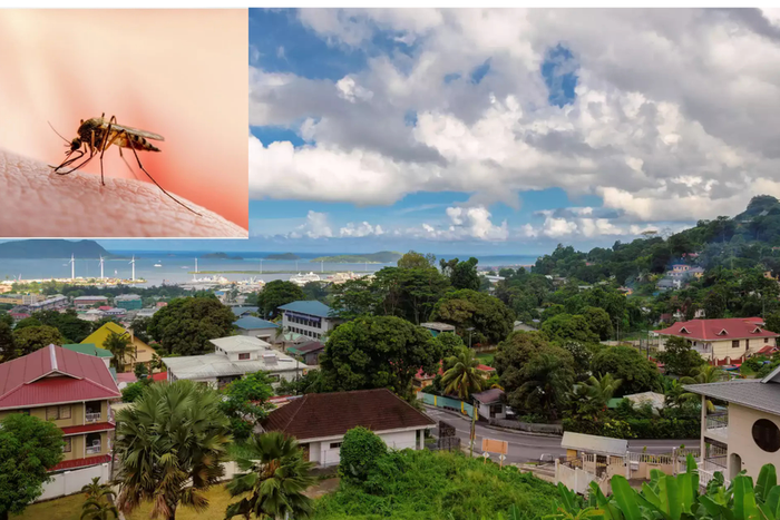 African countries without malaria [fishermancove/shuttershock]