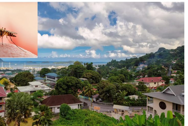 African countries without malaria [fishermancove/shuttershock]