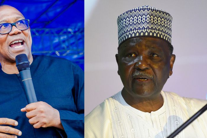 L-R: Peter Obi and former head of state, Rtd-Gen Yakubu Gowon. [Facebook/Getty Images]