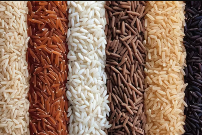 Varieties of rice [Freepik]