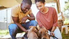 5 Cities Where People Have More Dogs Than Children