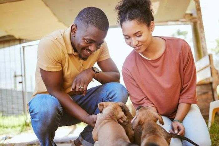 5 Cities Where People Have More Dogs Than Children