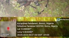 Troops thwart ISWAP terrorists’ attack, recover weapons in Borno [NAN]