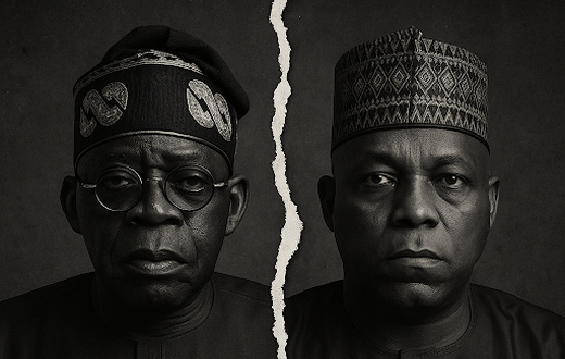 Quiet Cracks: Inside the rumoured Tinubu–Shettima rift