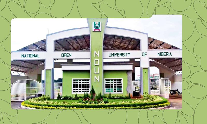 7 Top Online Universities in Nigeria (Where Busy People Can Get Degrees)