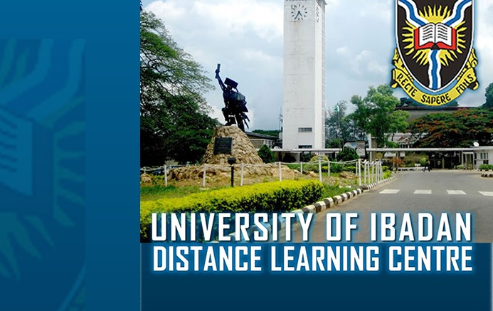The 7 Best Online Universities in Nigeria for Busy People Who Still Want That Degree