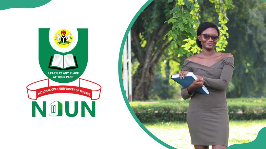 The 7 Best Online Universities in Nigeria for Busy People Who Still Want That Degree
