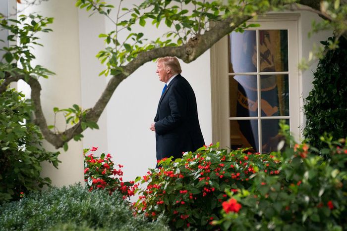 Grassley extends negotiation deadline for Christine Blasey ford