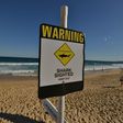 Shark attacks are rare, but still cause fear among ocean-users