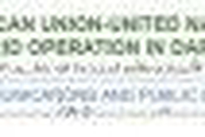 African Union-United Nations Mission in Darfur (UNAMID)