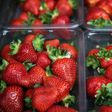 Police now say there have been 20 reported cases of needles or pins being found in strawberries in New South Wales alone