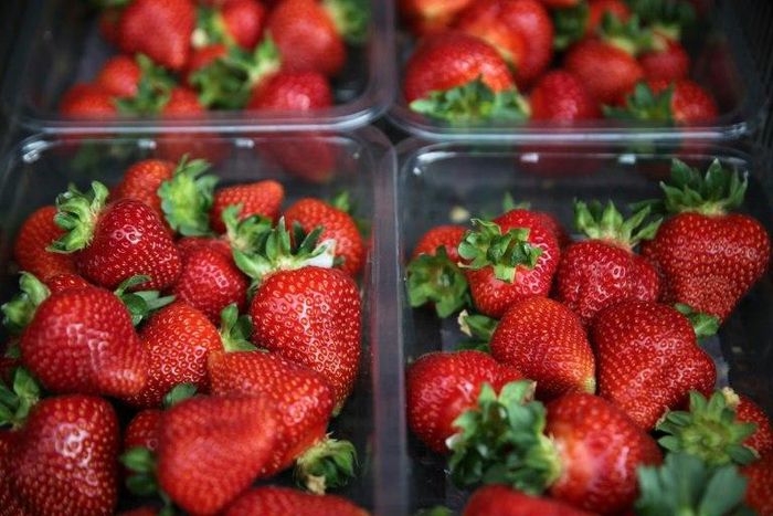 Police now say there have been 20 reported cases of needles or pins being found in strawberries in New South Wales alone