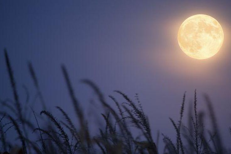 Here's how the fall equinox will affect your horoscope