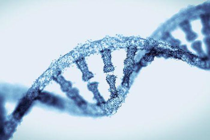5 serious health conditions that can be passed down through your genes