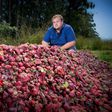 Australian growers such as Braetop Berries strawberry farmer Aidan Young are having to destroy crops after a nationwide scare over strawberries pierced with needles