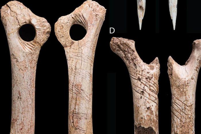 5 places around the world were cannibalism is still practised. [independent]