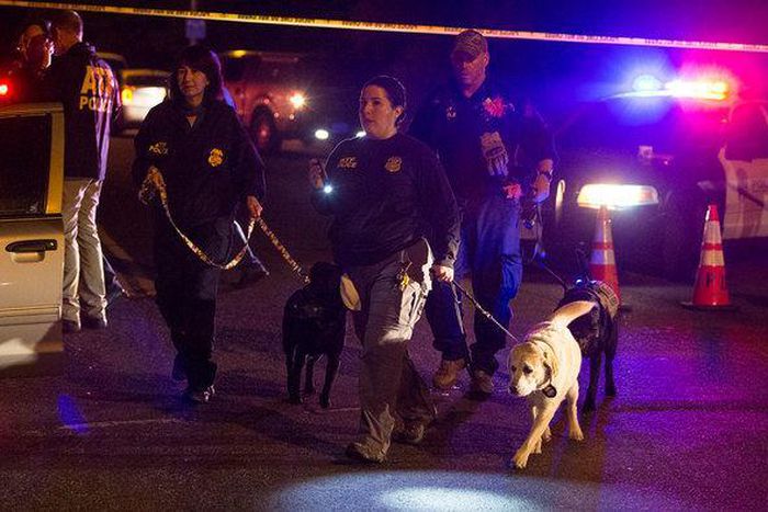 Austin police respond to another explosion, hours after plea to bomber