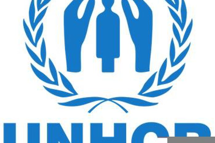 United Nations High Commissioner for Refugees (UNHCR)