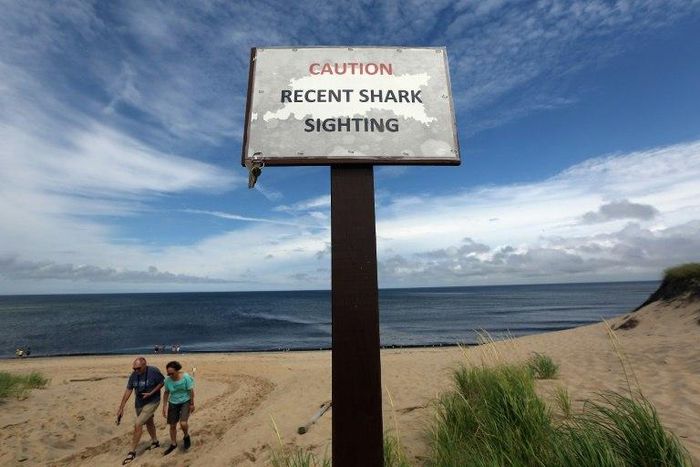 People exit the beach near a "Recent Shark Sighting" sign in 2012 at High Head Beach in Cape Cod, Massachusetts