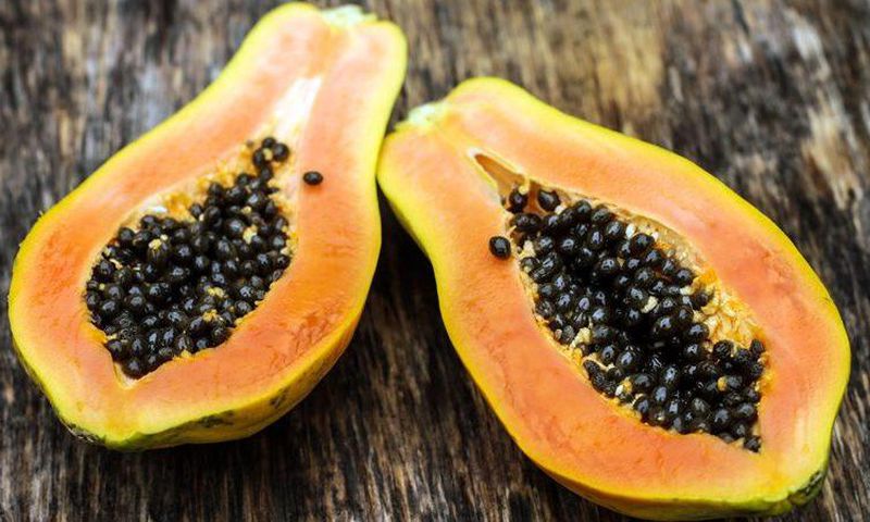Pawpaw: The health benefits of papaya seeds are unbelievable [15 Health Benefits]