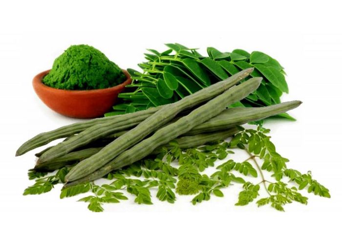 The health benefits of this moringa are unbelievable