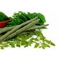 The health benefits of this moringa are unbelievable