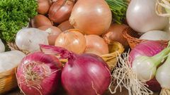 These 5 foods will help boost your immune system (The ConversationW)