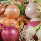 These 5 foods will help boost your immune system (The ConversationW)