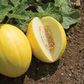 Why you should ditch watermelon for golden melon. [scoopernews]