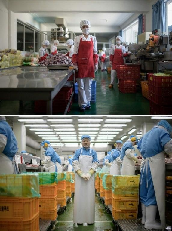 Hong Kum Ju (top) at the food factory where she works near North Korea's eastern port city of Wonsan, North Korea, and Kim Si-eun (bottom) at the Spam factory where she works in Jincheon, south of Seou