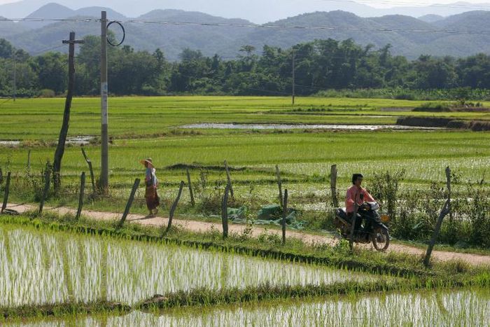 Thousands of vulnerable women and girls from northern Myanmar are being trafficked to China and forced to marry, according to a new study