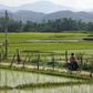 Thousands of vulnerable women and girls from northern Myanmar are being trafficked to China and forced to marry, according to a new study