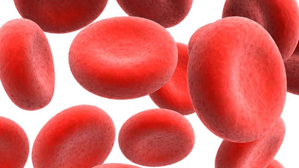 Anaemia: Nigerian foods that can increase red blood cells