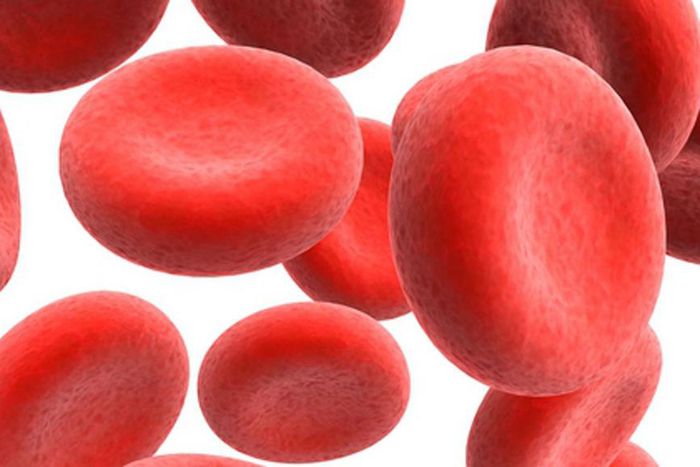 Anaemia: Nigerian foods that can increase red blood cells