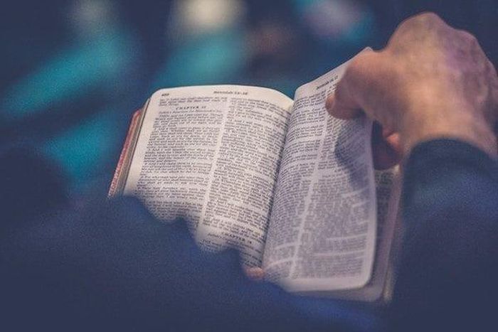 7 great Bible verses to study when you are confused. [seedtime]