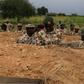 Chief of Army Staff, Lt.-Gen. Tukur Buratai (L), giving instructions to one of the soldiers in trench in frontline in Borno North