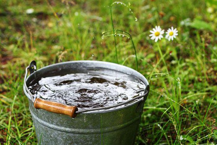 A bucket of water